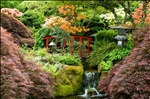 Bridge in the Japanese Garden